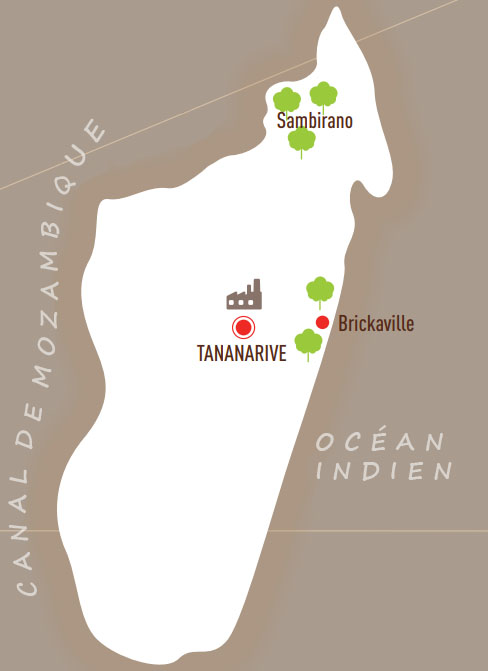 Plantation cacao Chocolaterie Robert à Madagascar Une fève d'exception